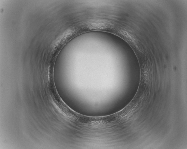 X0000059090686200510172055