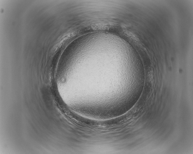 X0000059090687200510172055