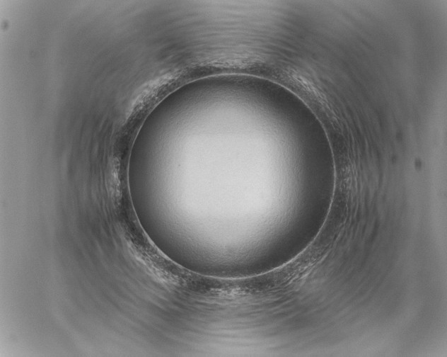 X0000059090688200510172055