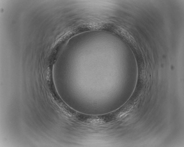 X0000059090689200510172055