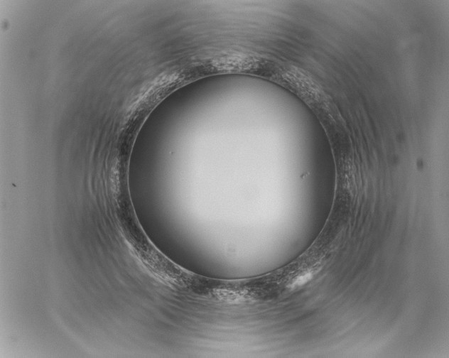 X0000059090690200510172055