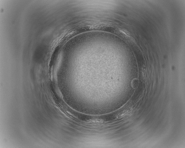 X0000059090691200510172055