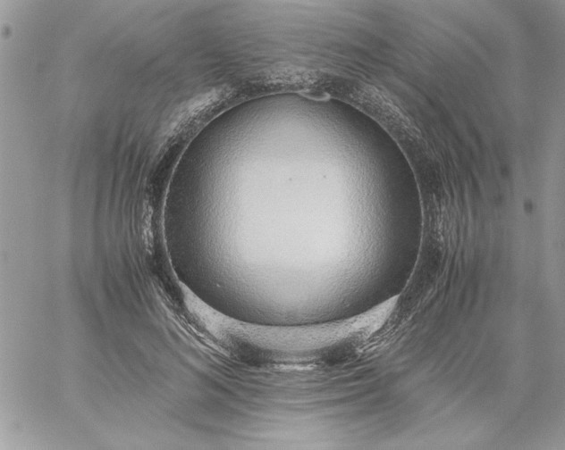 X0000059090692200510172055