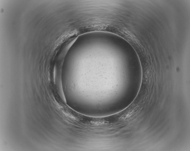 X0000059090693200510172055