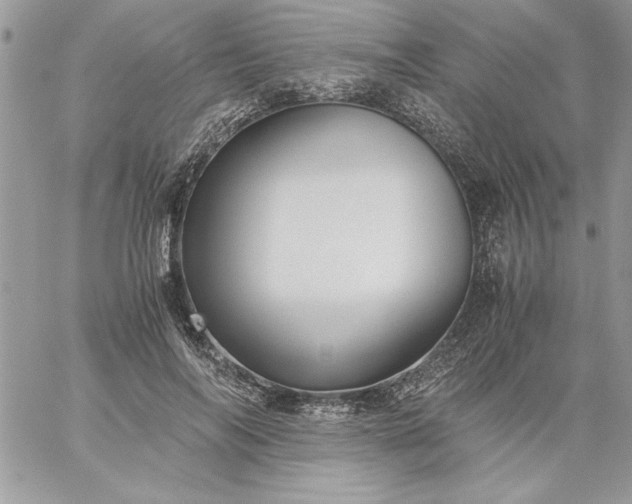 X0000059090694200510172055