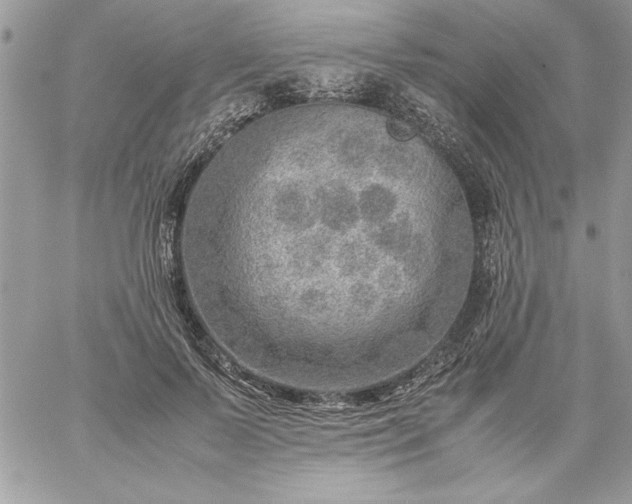 X0000059090695200510172055