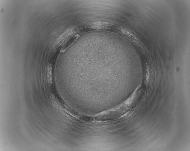 X0000059090696200510172055