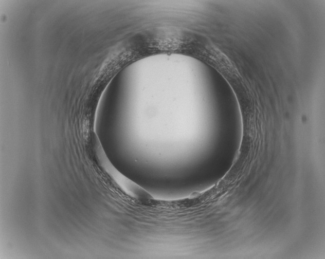 X0000059090697200510172055