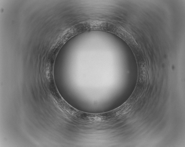 X0000059090698200510172055