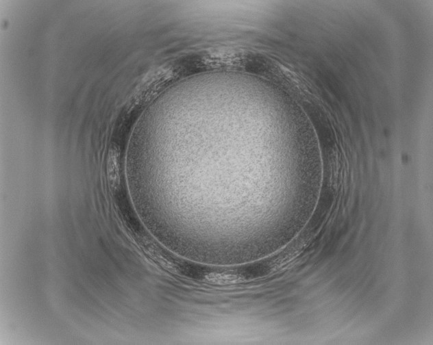 X0000059090699200510172055