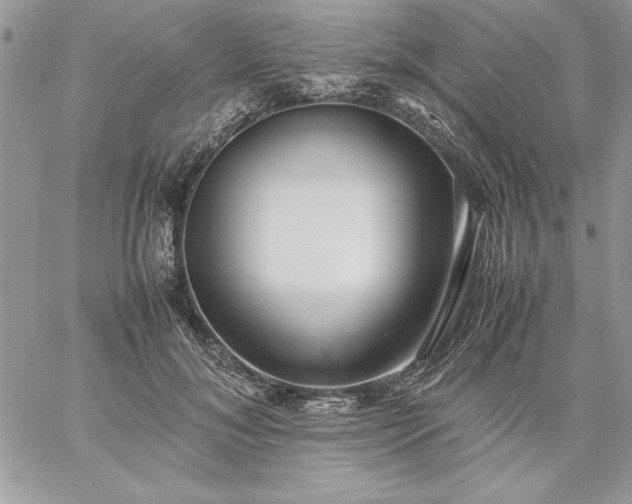 X0000059090700200510172055