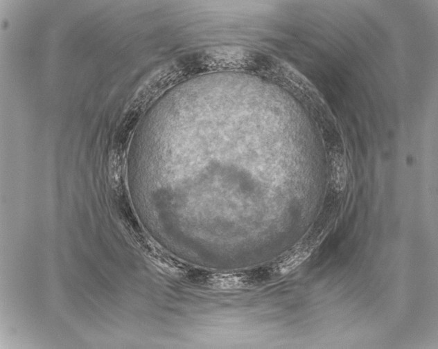 X0000059090701200510172055