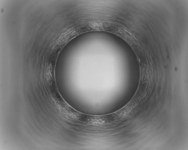 X0000059090702200510172055