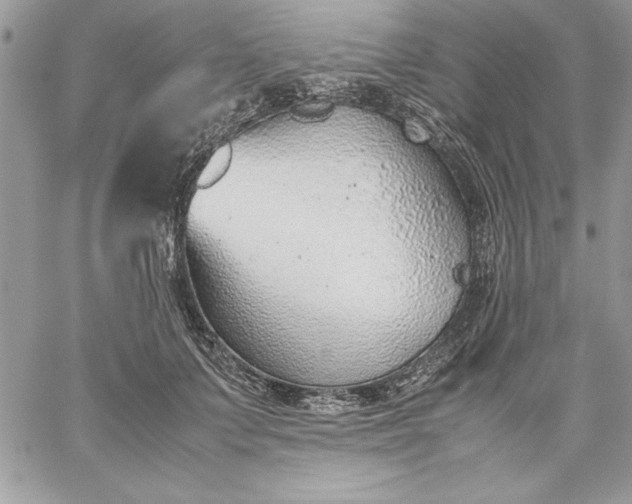 X0000059090703200510172055