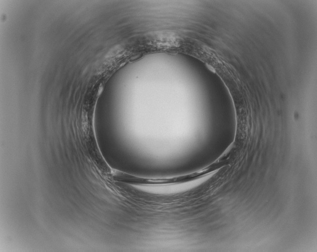 X0000059090704200510172055