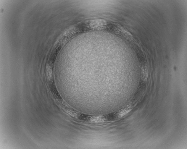 X0000059090705200510172055