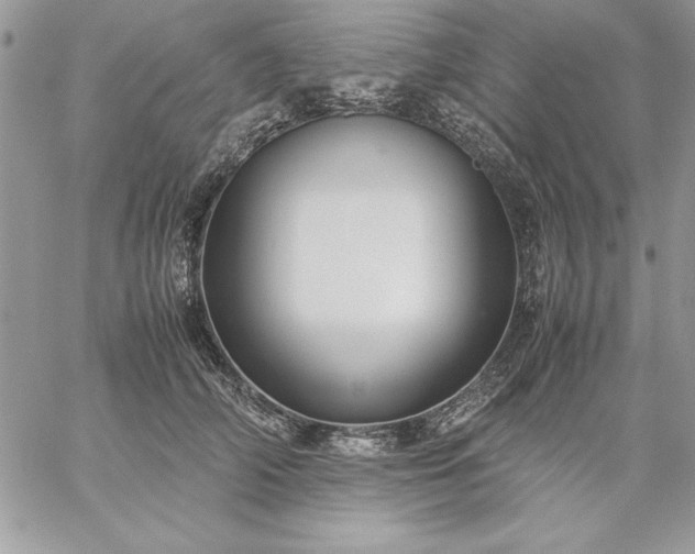 X0000059090706200510172055