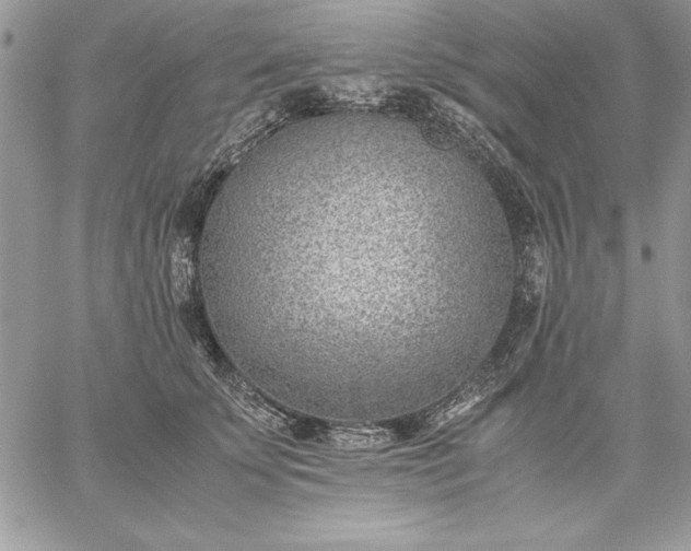 X0000059090707200510172055