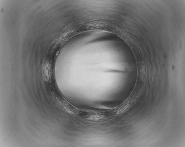 X0000059090708200510172055