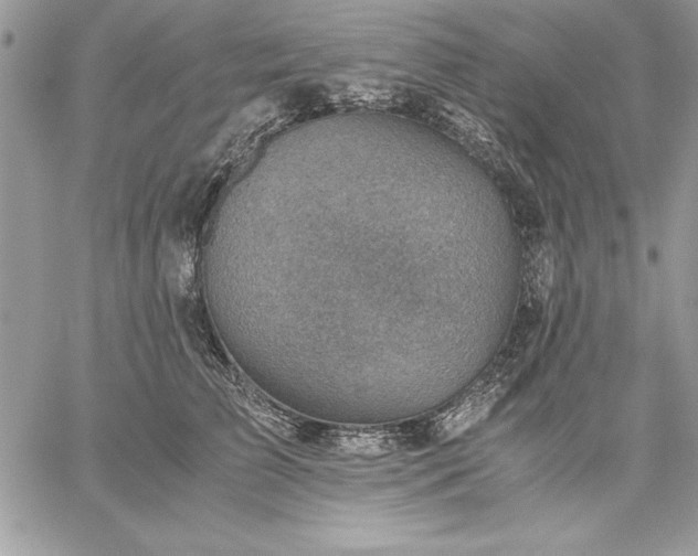 X0000059090709200510172055