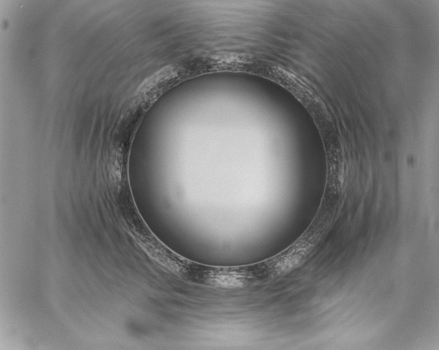 X0000059090710200510172055