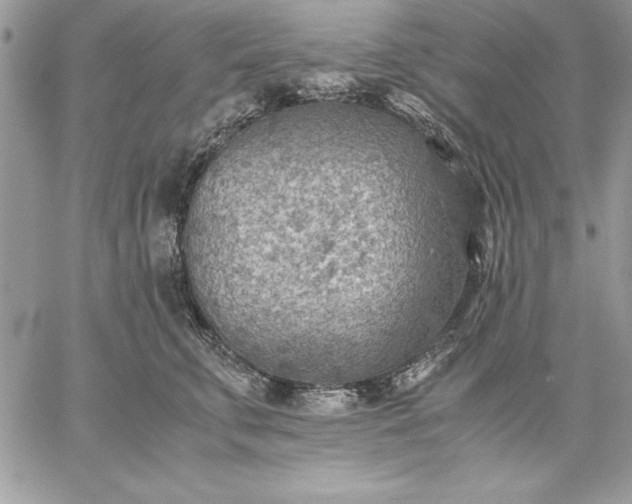 X0000059090711200510172055