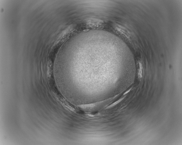 X0000059090712200510172055