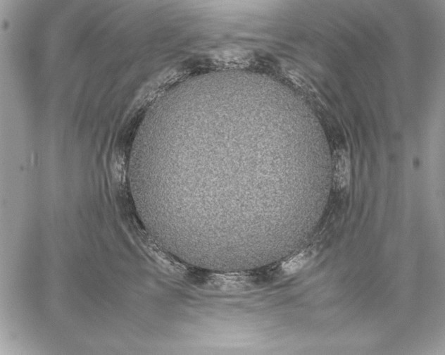 X0000059090713200510172055