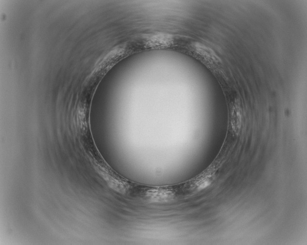 X0000059090714200510172055