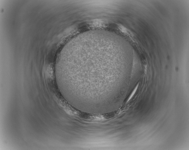 X0000059090715200510172055