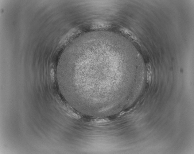 X0000059090716200510172055