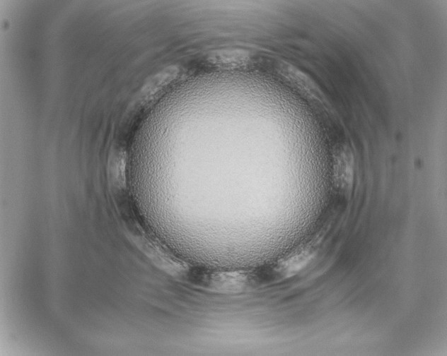 X0000059090717200510172055