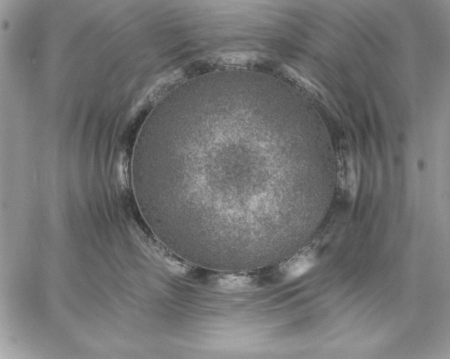 X0000059090718200510172055