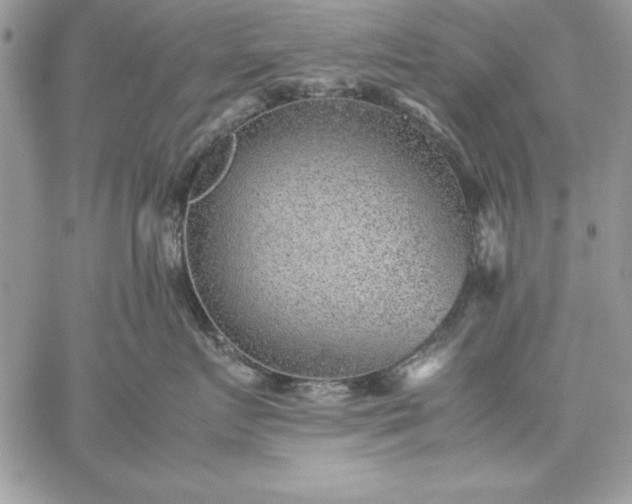 X0000059090719200510172055