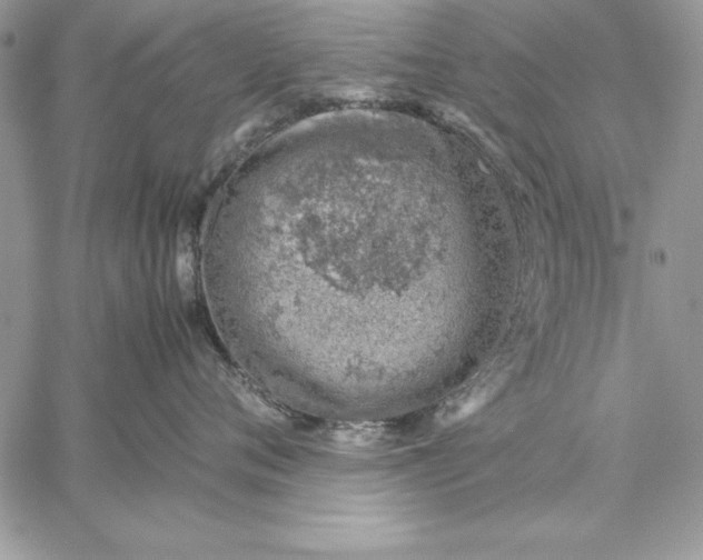 X0000059090720200510172055