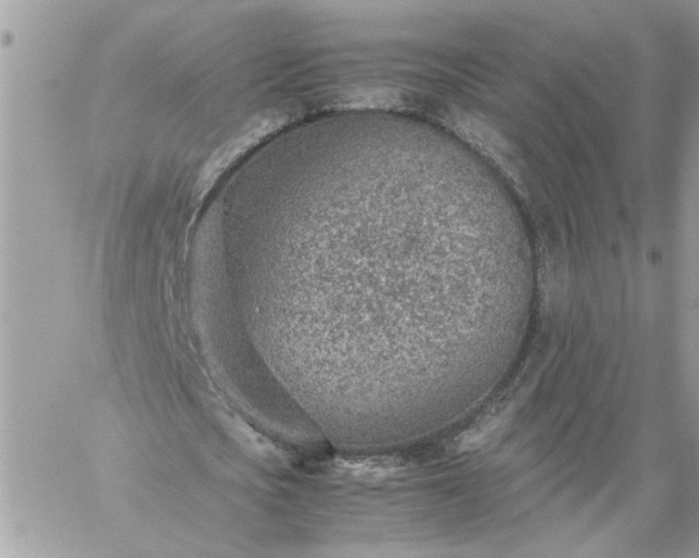 X0000059090721200510172054