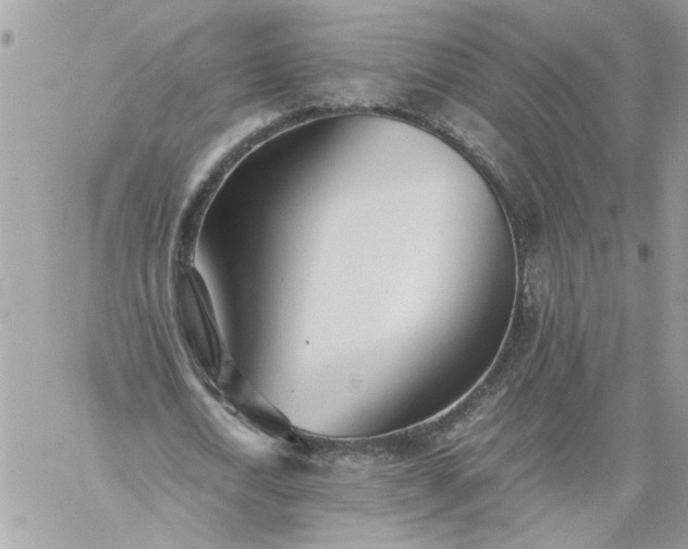 X0000059090722200510172054