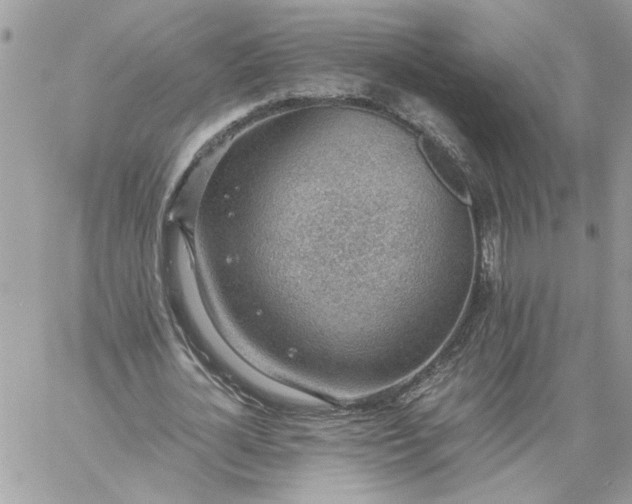 X0000059090724200510172054