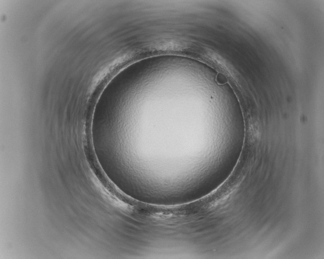 X0000059090725200510172054