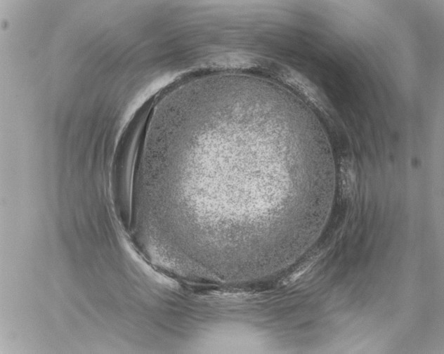 X0000059090726200510172054