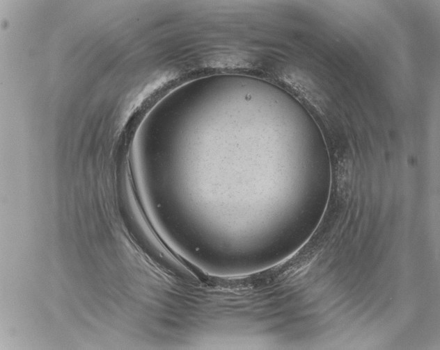 X0000059090727200510172054