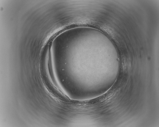 X0000059090728200510172054