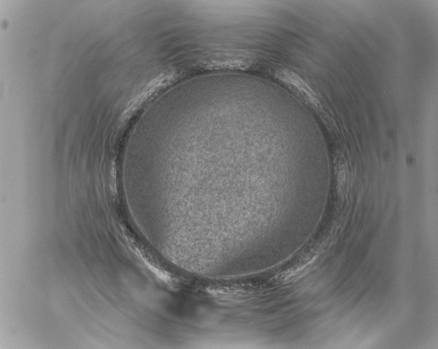 X0000059090729200510172054