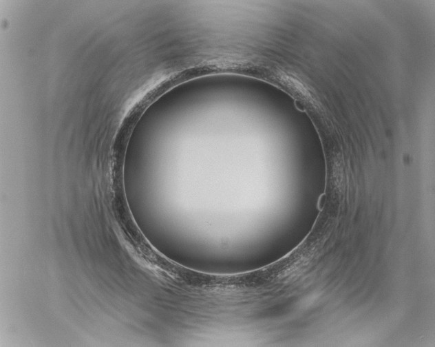 X0000059090730200510172054