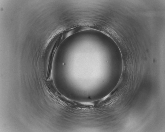 X0000059090731200510172054