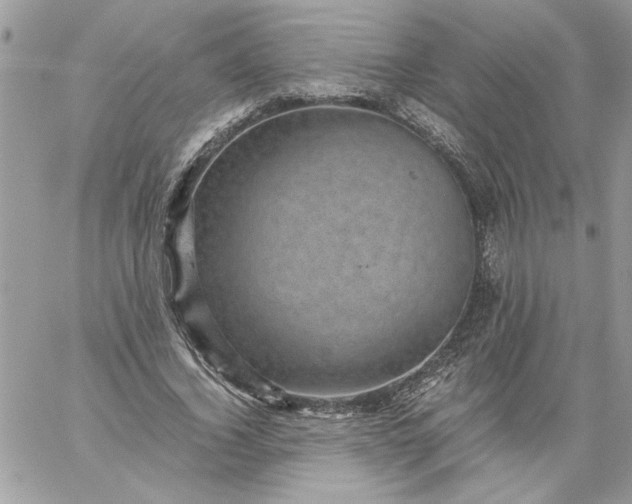 X0000059090732200510172054