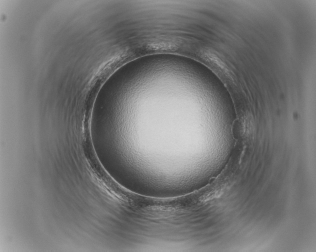 X0000059090733200510172054