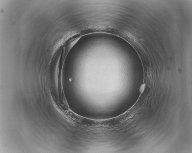 X0000059090734200510172054