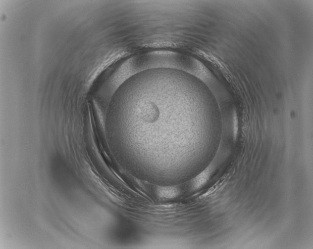 X0000059090735200510172054