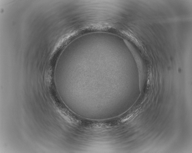 X0000059090736200510172054